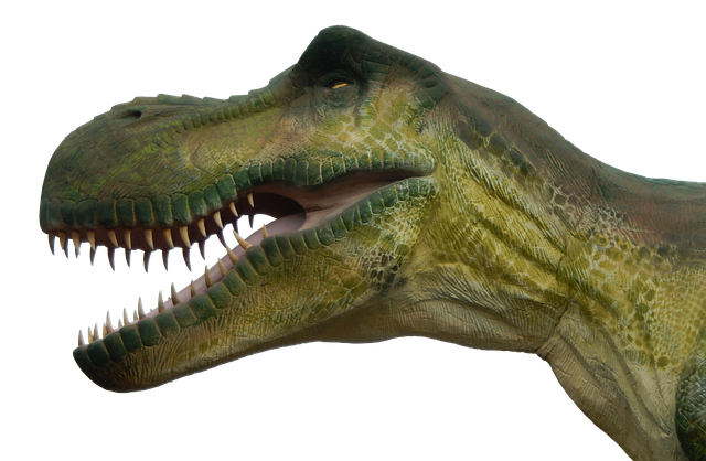 Dinosaur legetøj: 5 sjove og lærerige aktiviteter for børn